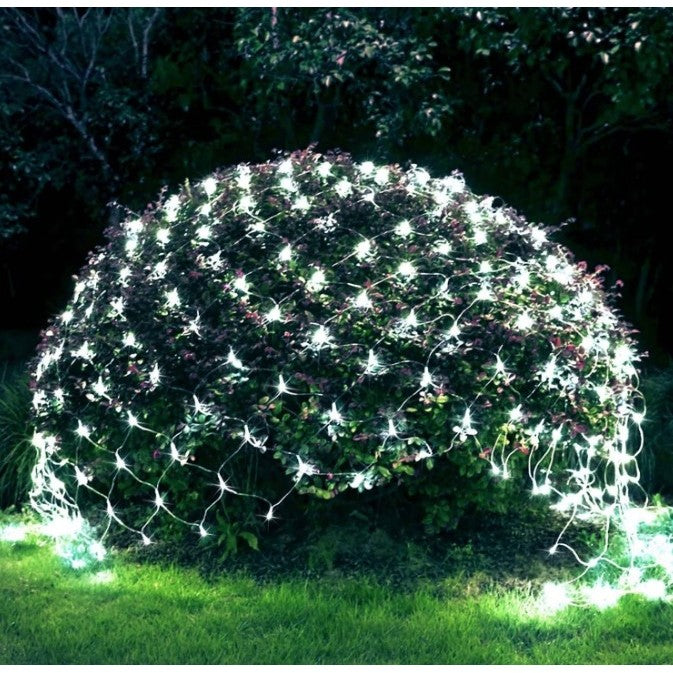 Tufa din curte, acoperită de lumină
